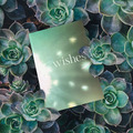 Wishes Book