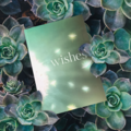 Wishes